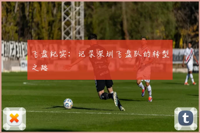 飞盘纪实：记录深圳飞盘队的转型之路