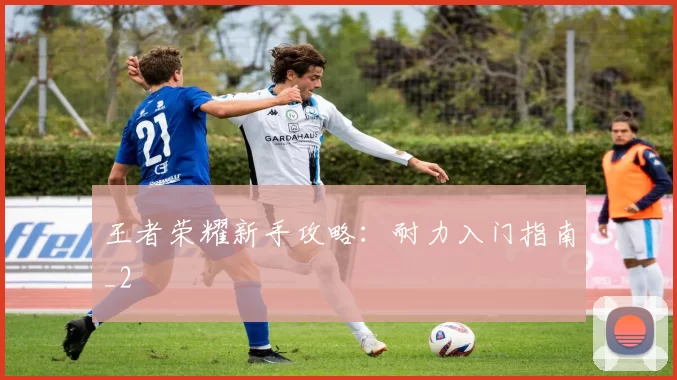 王者荣耀新手攻略：耐力入门指南_2