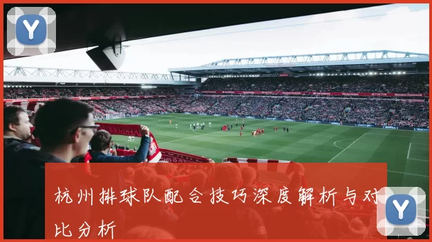 杭州排球队配合技巧深度解析与对比分析