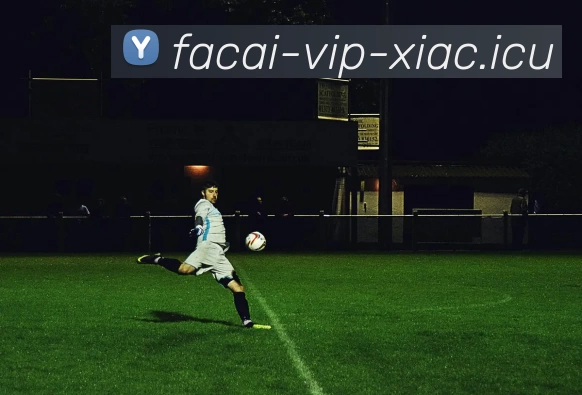 乐鱼体育注册发展历程